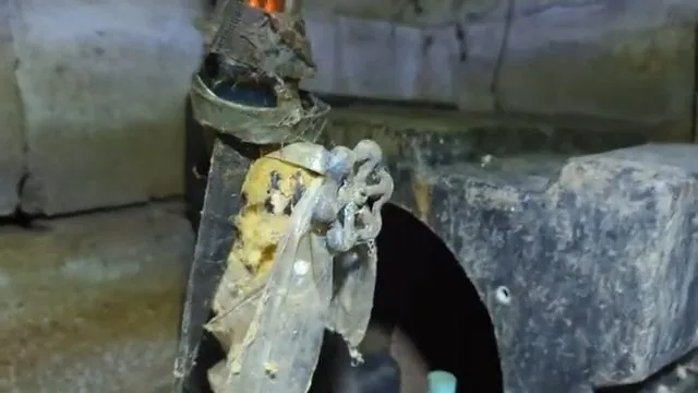 Corroded copper water pipe cut open to show internal condition