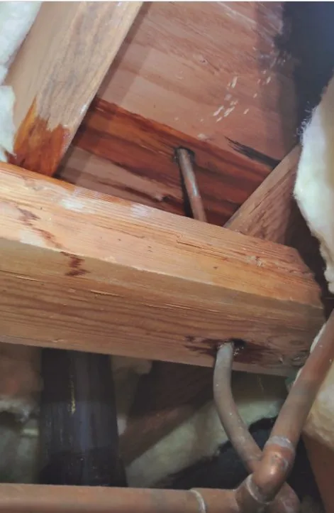 Damaged plumbing exposed beneath a slab floor