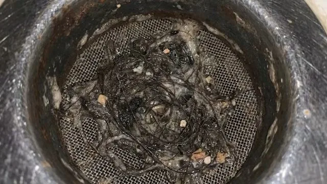 Grease clog visible inside a cut-open section of kitchen drain pipe