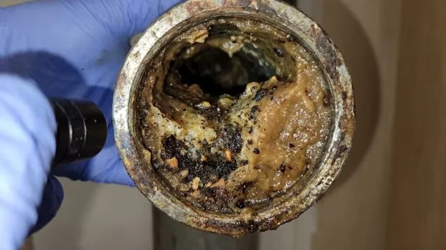 Hair and debris pulled out of a bathroom drain trap during cleaning