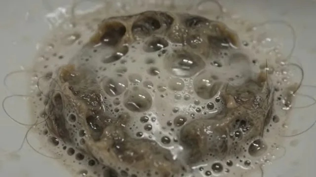 Hair clog caught in a bathroom sink strainer